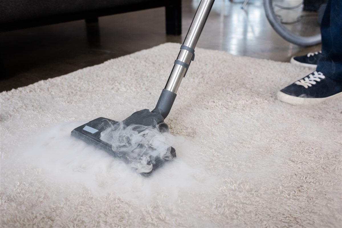 Shampouineuse ou nettoyeur vapeur